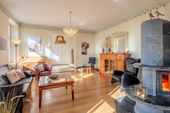 B0A9619-HDRLuftsnapper